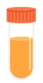 소변 색깔로 보는 건강