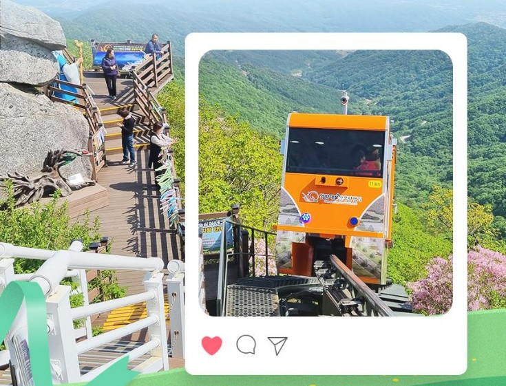 대봉 스카이랜드 모노레일 집라인