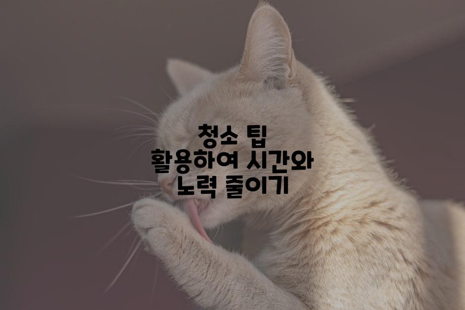 청소 팁 활용하여 시간와 노력 줄이기