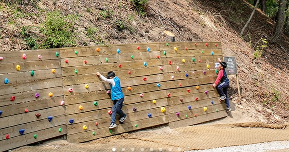 [반려견 동반, 가족 여행지]평강랜드❘아이들과 함께하는 반려견 놀이터, 캠핑장