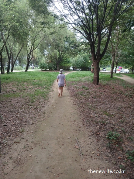 광나루 한강공원의 숲속 흙길을 맨발로 걷는 여성 &ndash; 조용하고 비밀스러운 서울 맨발 걷기 좋은 장소 추천 코스