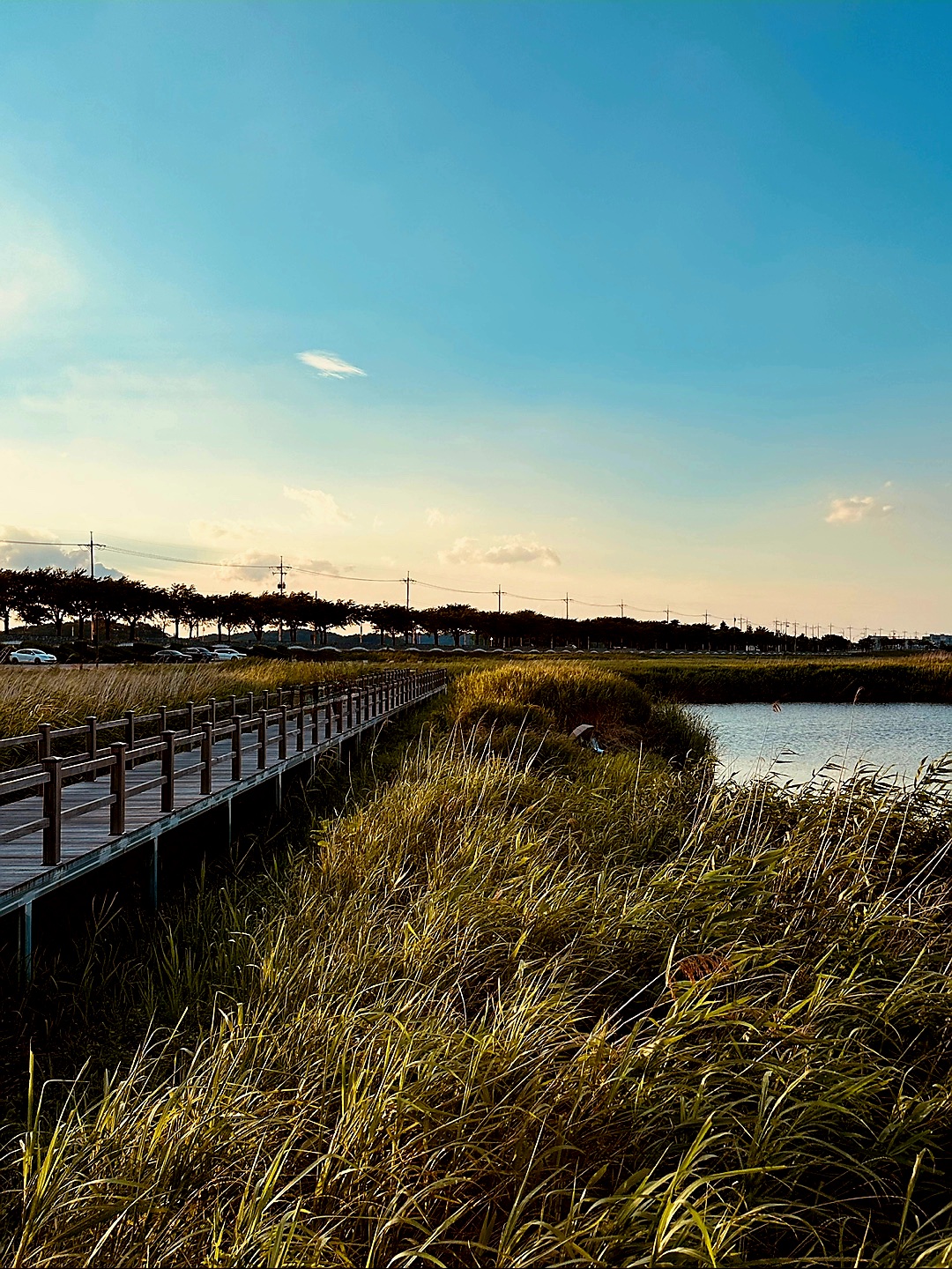 속초에서-가까운-양양도-다녀왔어요.