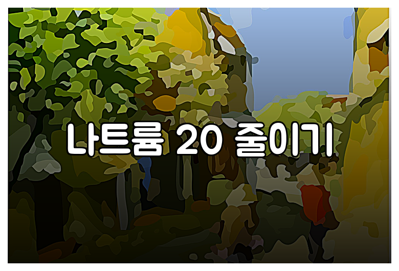 나트륨 20 줄이기