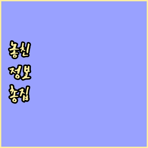 마두동 대형 폐기물 버리는 법! 신고..