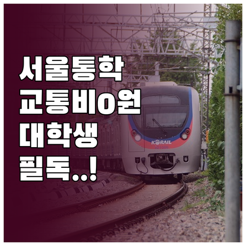 서울 통학 대학생을 위한 기후동행카드..