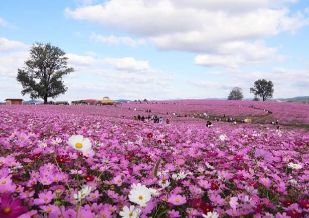 전국 관광지도 다운로드