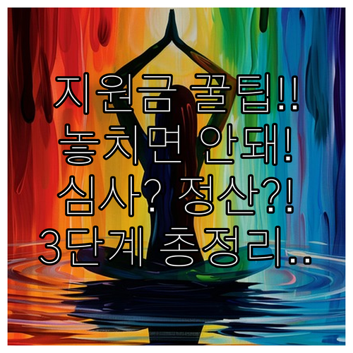 경로당 지원금 3단계: 신청 심사 집..