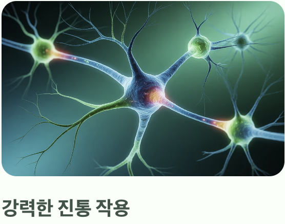 통증을 잊게 하는 '천연 마취제'