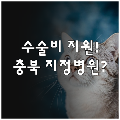 충북 반려동물 진료비 수술비 지원금액..