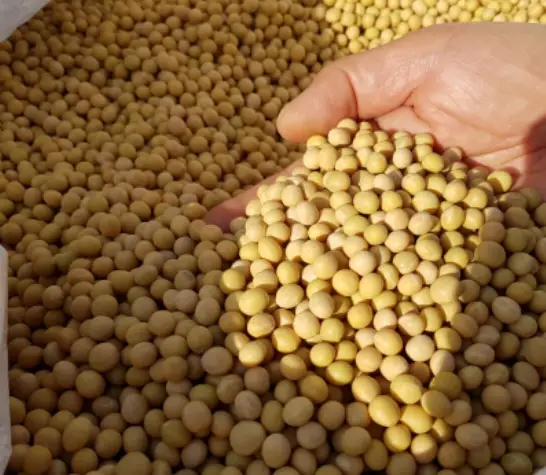 당뇨에-좋은-음식-건강