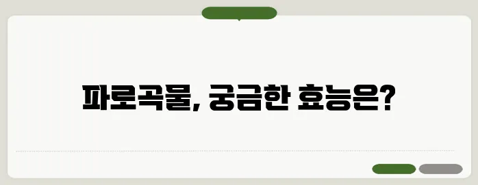 파로곡물이란? 효능과 섭취 방법 총정리