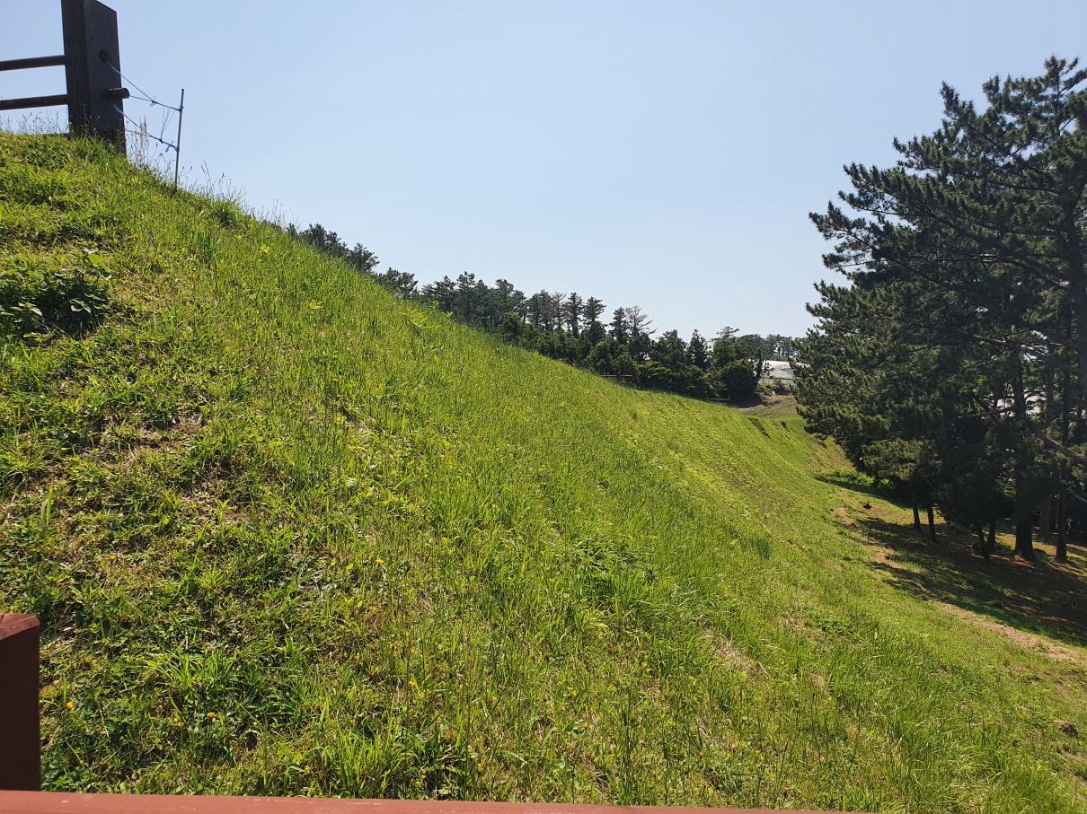항파두리-15
