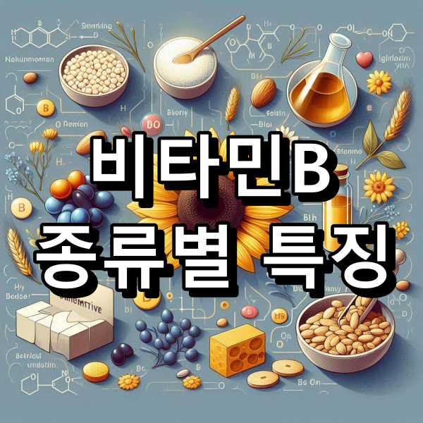 비타민B 종류별 특징 정리 대표 이미지