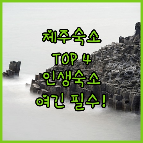 제주도 숙소 추천 TOP 4 위치 장..