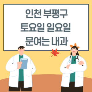 인천 부평구 토요일 일요일 내과 진료 병원 리스트