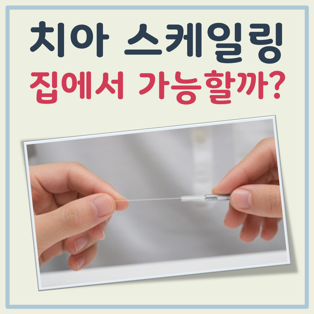 치아 스케일링 집에서 대표 이미지