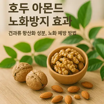 호두 아몬드 노화방지 효과: 견과류 항산화 성분, 노화 예방 방법