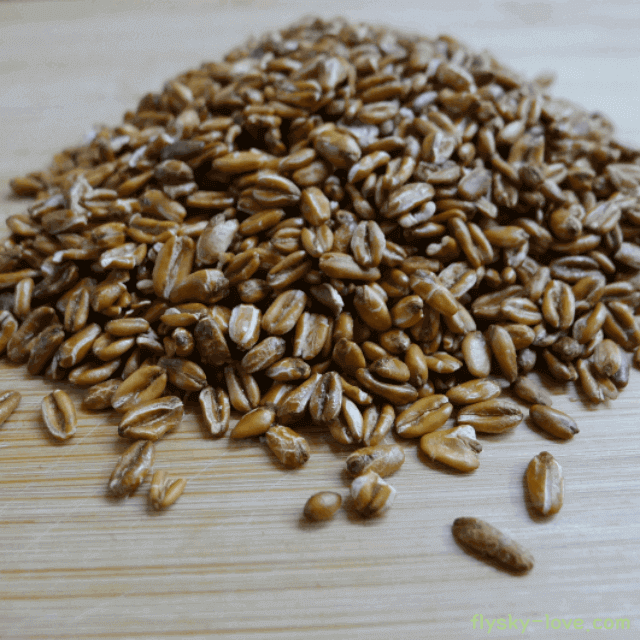 세계 10대 슈퍼푸드 귀리