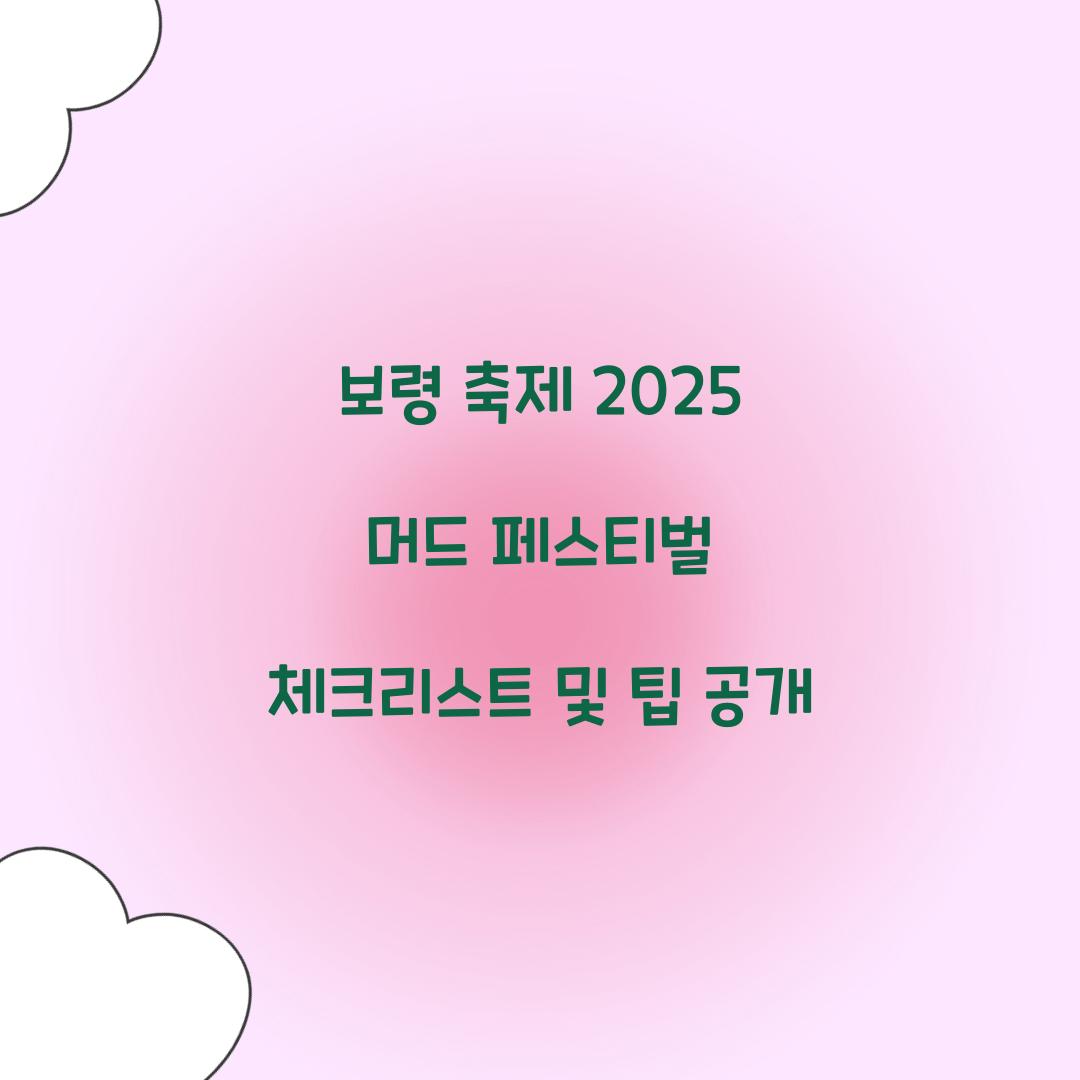 보령 축제 2025 머드 페스티벌