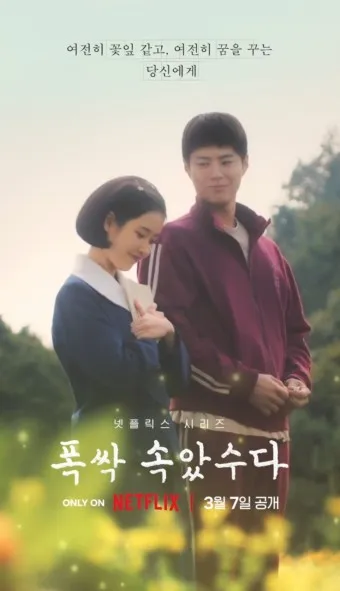 넷플릭스 폭싹 속았수다 결말 해석 원작_3