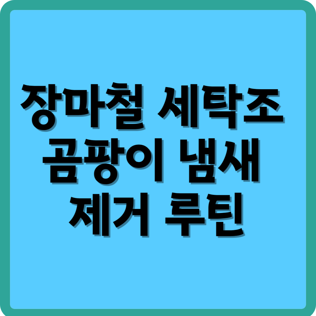 장마철 세탁조 곰팡이 냄새 제거 루틴