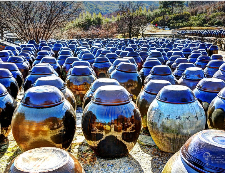 도시,시골 당신의 여행스타일은?