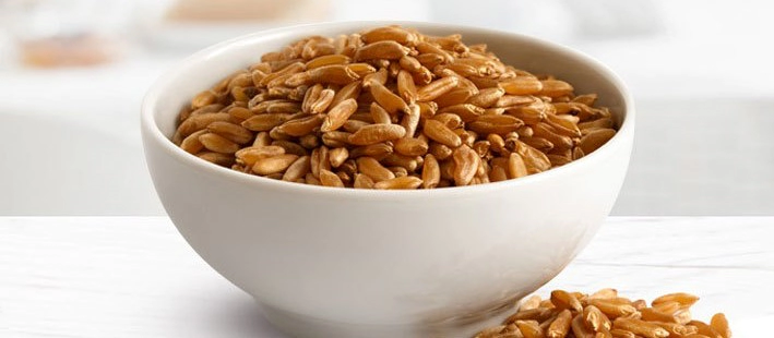 호라산밀 먹는법