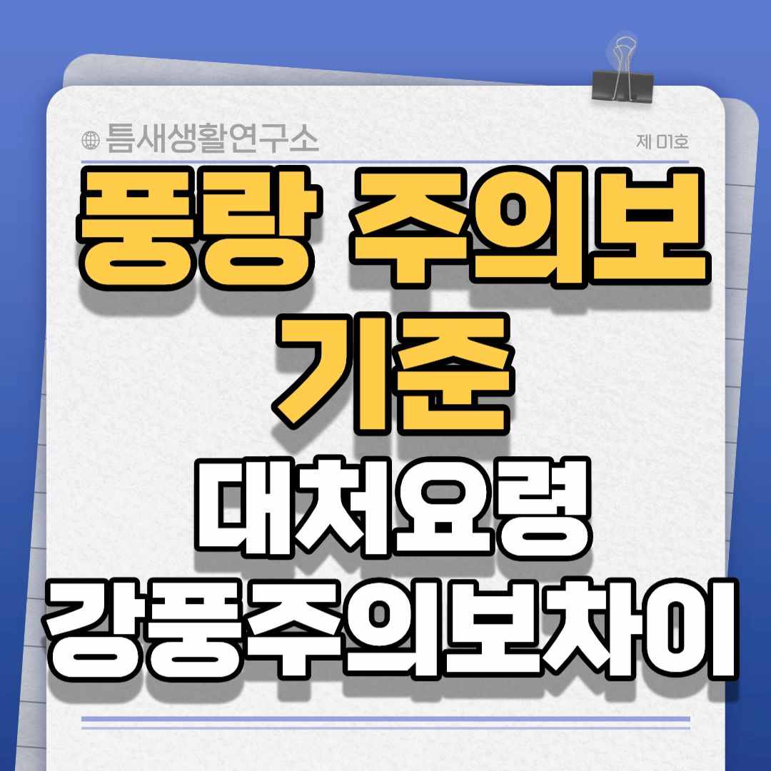 풍랑주의보-썸네일