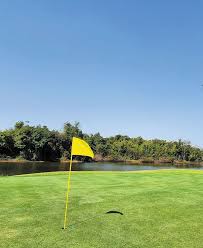 드라이버 샤프트 강도 선택 요령