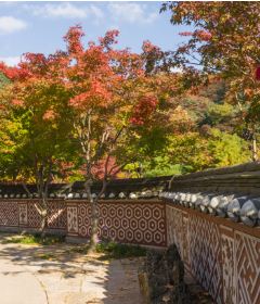 화담숲