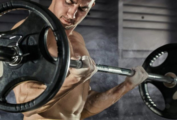 타우린 음식 효능 10가지 및 타우린 많은 음식 추천