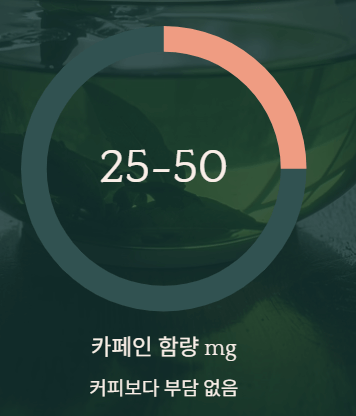  다이어트 차 3종 