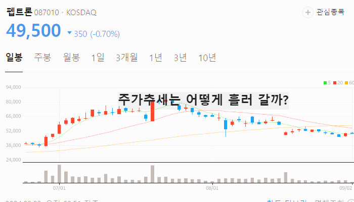 위고비 관련주 대장주 TOP10