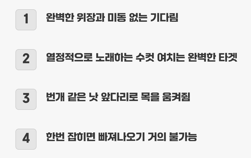 침묵의 암살자, 사마귀