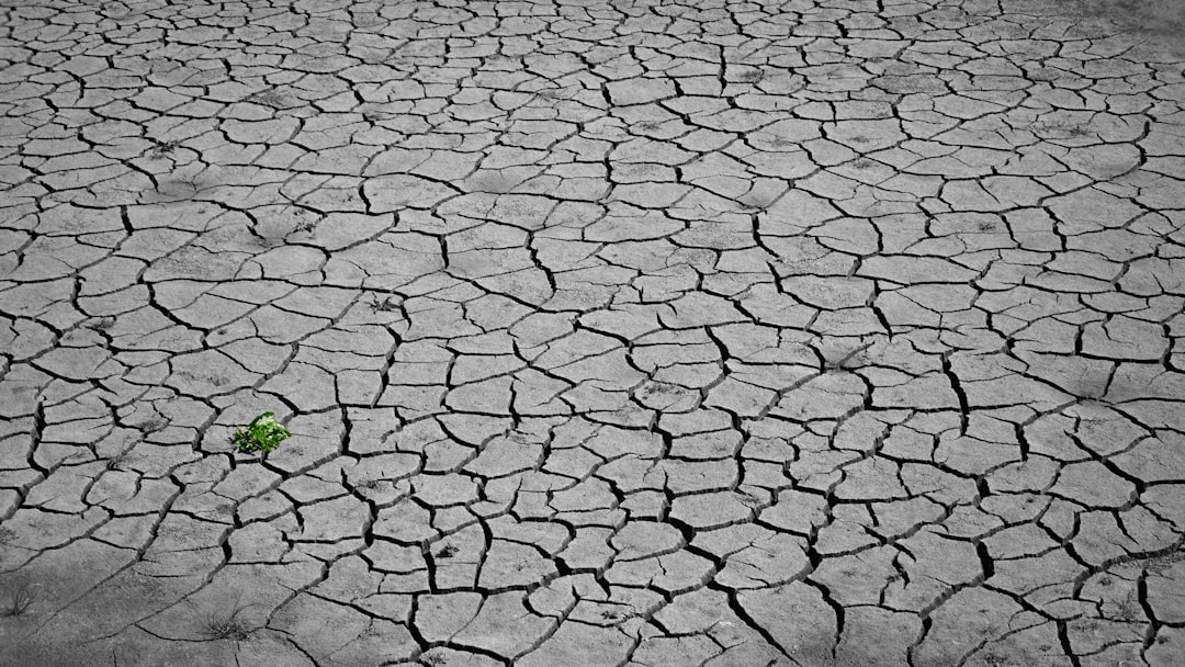 2025년 기준 기후동행 퀴즈 8월 19일 정답 총정리 7가지 관련 이미지 2