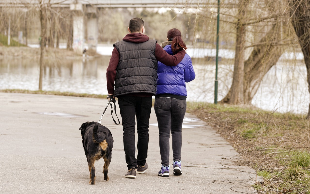 재취업 지원금 신청방법
