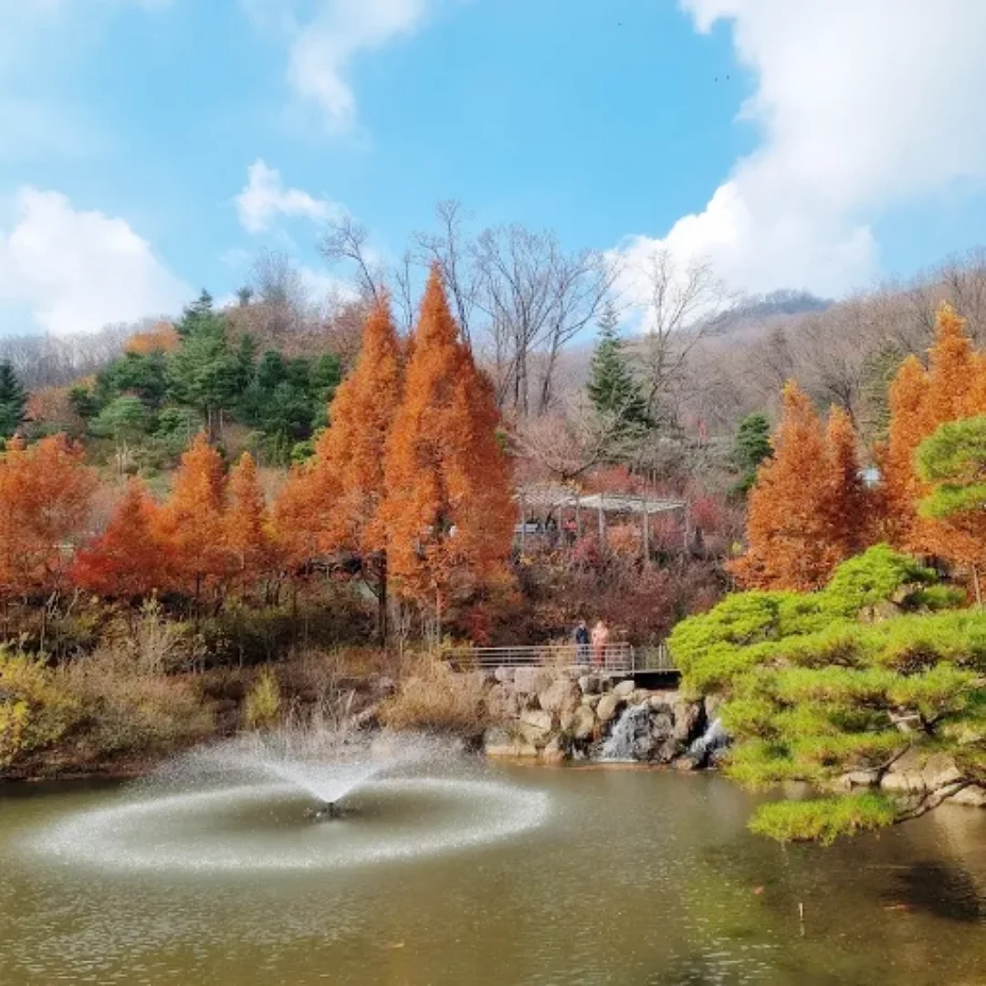 화담숲 숨은 포토스팟