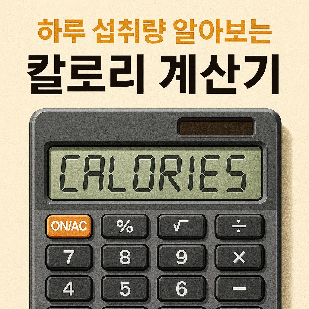 칼로리 계산기
