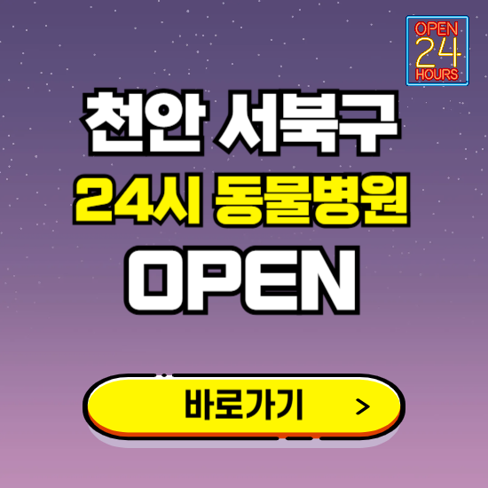 천안시 서북구 24시 동물병원 진료하는 곳 ❘ 설날 휴일 야간 심야 문여는곳 찾기 ❘ 응급진료