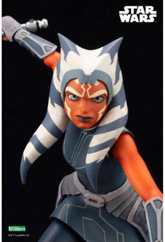 아소카 관련 사진