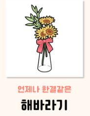 해바라기 꽃말