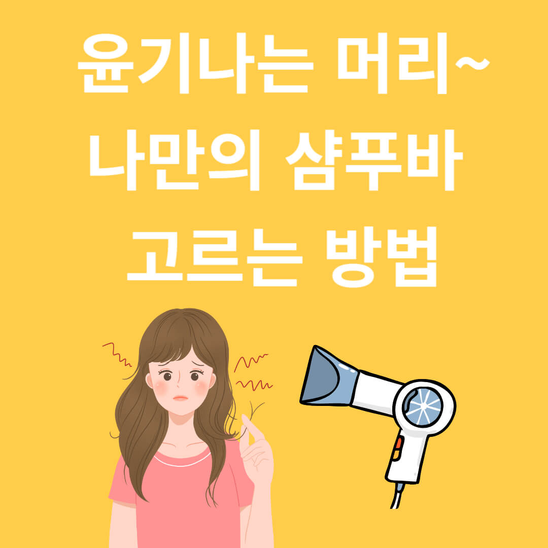 나에게 맞는 샴푸 바 찾는 법과 꼭 피해야 할 성분!