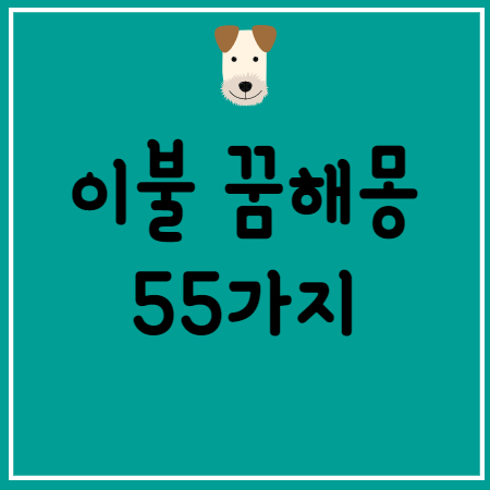이불 이부자리 꿈해몽 55가지 정리