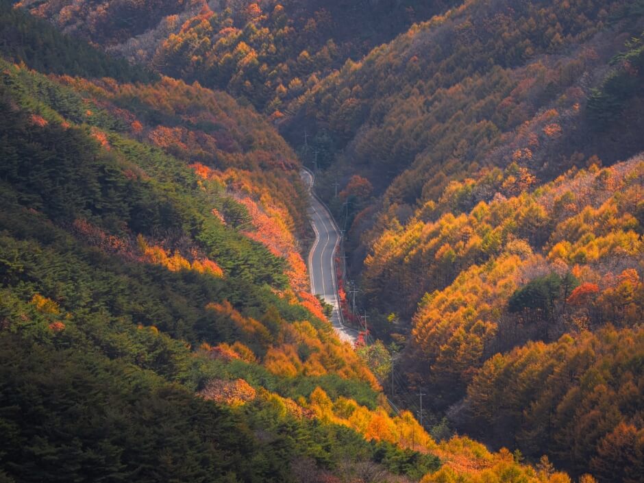 경산 가볼만한곳 베스트 10