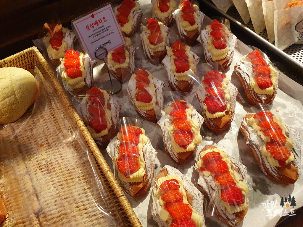 대전 성심당 빵