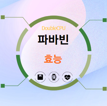 파바빈 효능 탐구