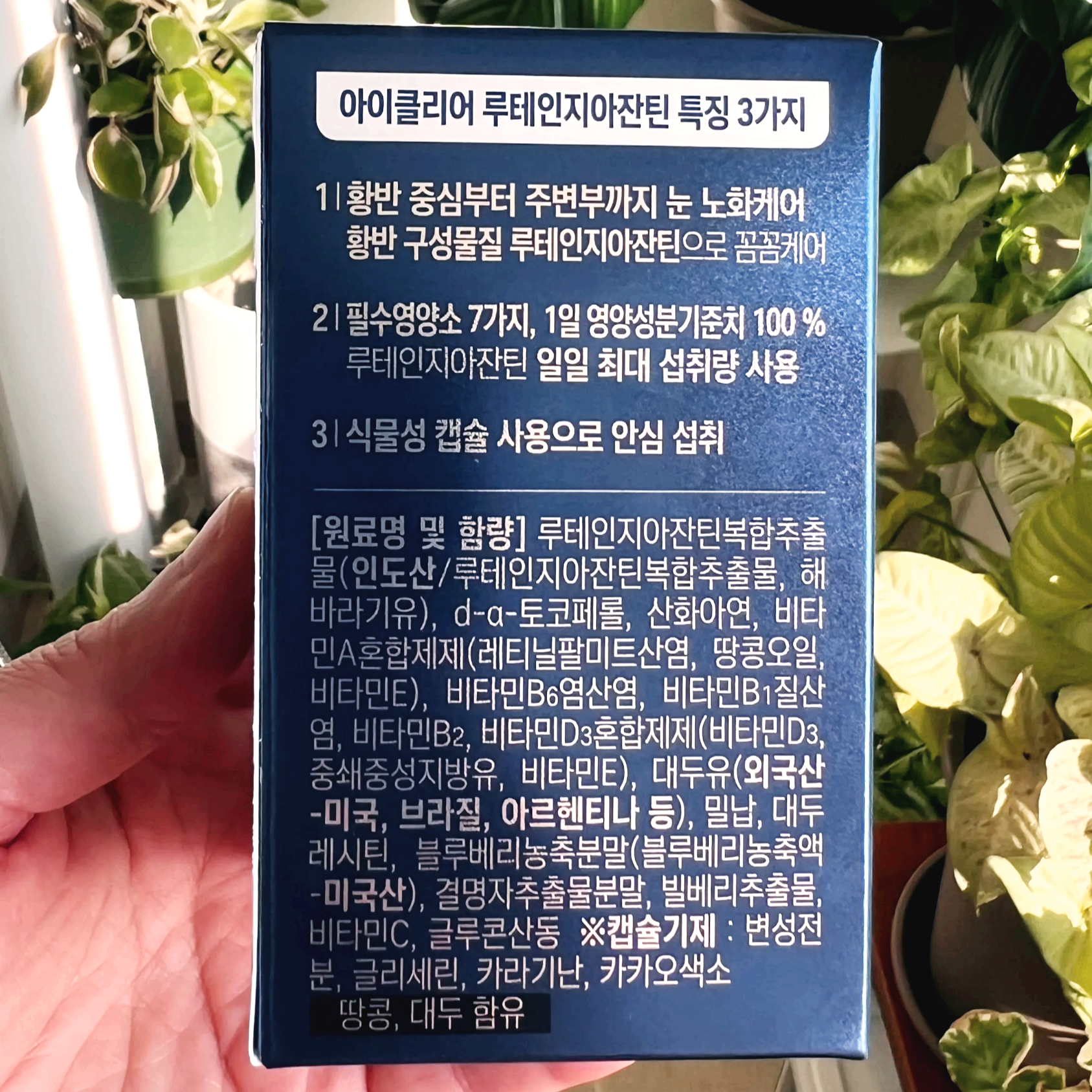 아이클리어 루테인지아잔틴