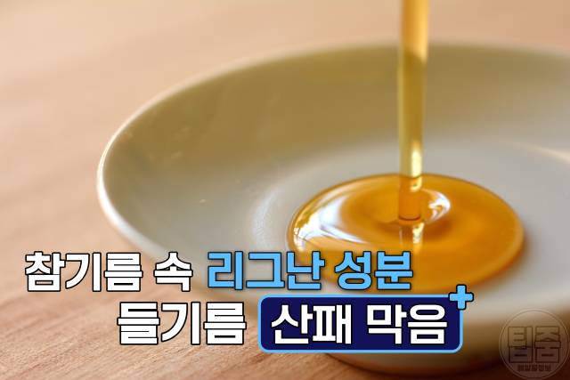 들기름 보관법 유통기한 보관기간