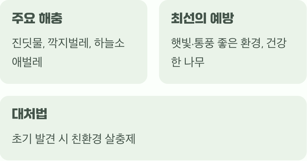 병충해, 예방이 최선입니다
