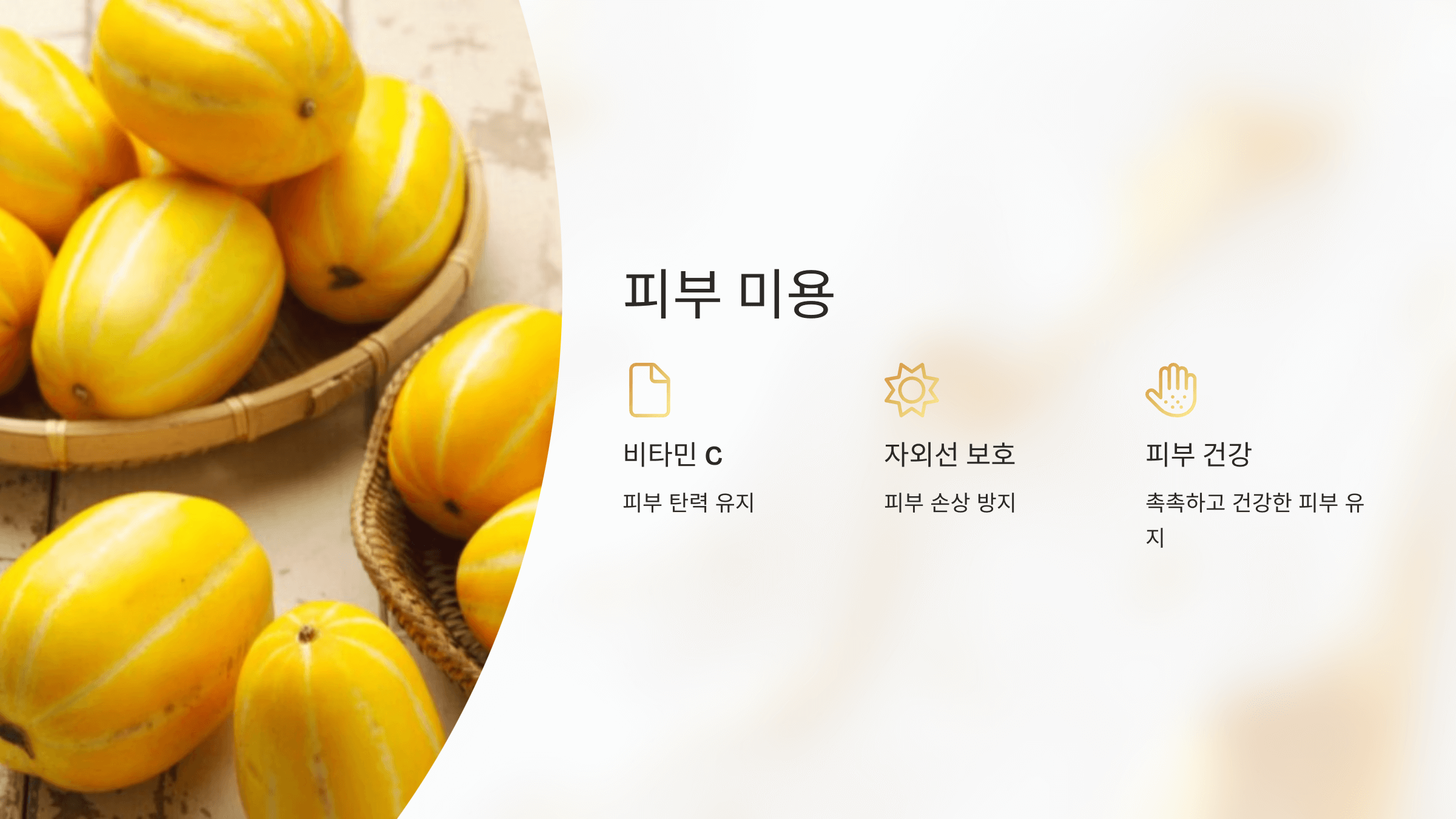 참외 사진입니다.